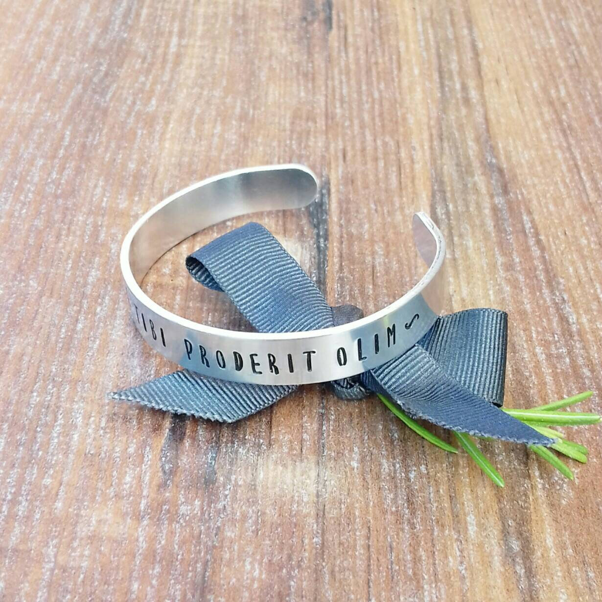 Strength and Courage Bracelet, Latin Quote Jewellery, Ovid Quotes, Dolor Hic Tibi Proderit Olim,