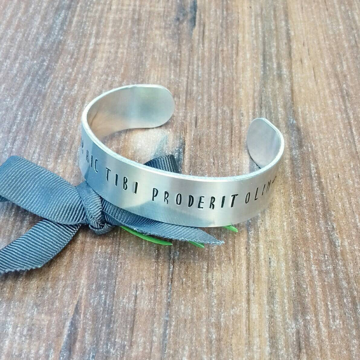 Strength and Courage Bracelet, Latin Quote Jewellery, Ovid Quotes, Dolor Hic Tibi Proderit Olim,